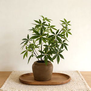Glücksbaum Künstliche Pflanze Faux Pachira im Keramiktopf mit Dekorativem Boden Wohlstands-Heimdekoration - Product Image 6