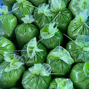 Feuille de manioc hachée Vietnam surgelée pour OEM et service alimentaire de haute qualité à bon prix - Product Image 1