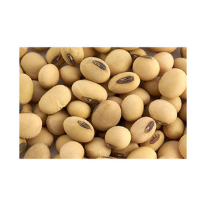 Soja Seca Fresca Orgánica de Alta Calidad Cultivada en Sudáfrica, Sin OMG, en Paquete a Granel de 25 kg, 2 Años de Vida Útil, Lista para Envío al por Mayor - Product Image 1