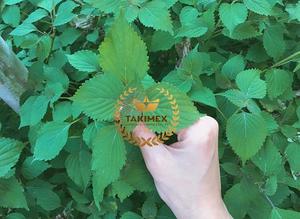 ผงทากิตาชิโซะผงทาคิเม็กส์สกัดจากใบเพอริล่าบริสุทธิ์100% ออร์แกนิกเพื่อสุขภาพ - Product Image 2