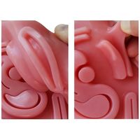 Modèle de chirurgie laparoscopique Science médicale de laboratoire Modèle simulé de suture abdominale pour équipement éducatif