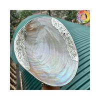 Premium Handmade Caviar Serving Big Size Teller-Natural Shell, wettbewerbs fähiger Preis aus Vietnam