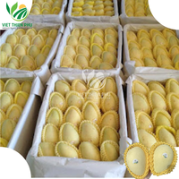 Vietnam 'S Eerste Geëxporteerde Verse Mango Van Het Nieuwste Seizoen Kent-Variëteit Tegen Groothandelsprijs