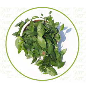 Hojas de Henna Orgánicas Naturales Secadas al Sol y Libres de Químicos, Aptas para el Cuidado del Cabello con Remedios Herbales Caseros - Product Image 2