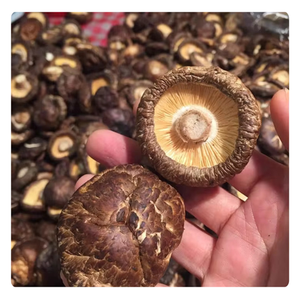 เห็ดหอมอบแห้งจากเวียดนาม - Product Image 3