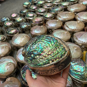 Natural Sea Shell Jewelry <b>Box</b> Unique Abalone Inlaid Red Velvet Interior <b>Storage</b> <b>Chest</b> Royal Style Rainbow Iridescent <b>Box</b> - Product Image 5