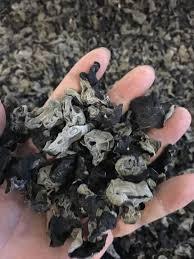 SETA OREJA DE MADERA/ETIQUETA LIMPIA/BASADA EN PLANTAS/SECA NATURALMENTE - Product Image 2