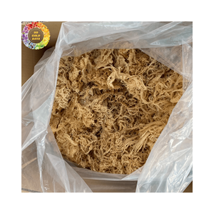 Eucheuma cottonii แห้งตามธรรมชาติมอสทะเลไอริชสีทอง seamoss สำหรับเจลมอสทะเล argassum ถุง25กก. จำนวนมากไม่ใส่เกลือ - Product Image 6