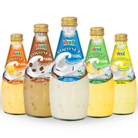 VINUT 330ML Kokosmelkpuree Aangepaste Sapdrank Vietnam Drank Groothandel OEM ODM Export Leverancier