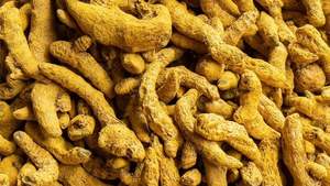 สำรวจราคาที่น่าสนใจของเราสำหรับขมิ้นแห้งขายส่งส่งออกจากเวียดนาม - Product Image 4