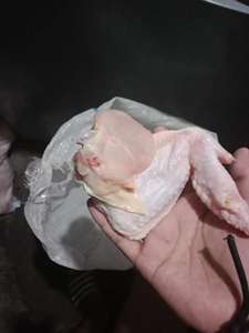 Alas de Pollo Halal Congeladas Baratas y de la Mejor Calidad, Sin Piel y Sin Hueso, en Venta - Product Image 2