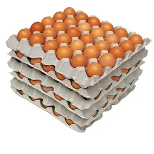 Fresh Farm Chicken Table Eggs Brown and White Shelled