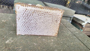 Miel de Vietnam en formato de panal natural, diseñada para pedidos al por mayor y compradores internacionales. - Product Image 6