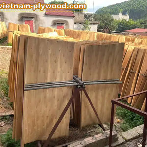 Vietnam Factory Export High Quality Eucalyptus Core <b>Veneer</b> Best Price for India Market-HCPLY LUCYPLYWOOD - Product Image 3