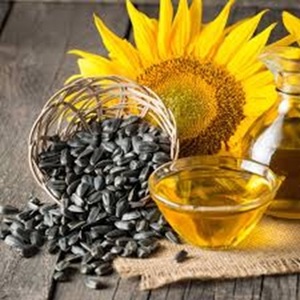 Prix d'usine Graines de tournesol de qualité alimentaire disponibles pour l'exportation dans le monde entier - Product Image 6