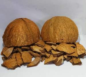 Meilleures ventes 2024 pour la vente en gros de coquilles de noix de coco naturelles vietnamiennes à bas prix prêtes pour l'exportation - Product Image 5