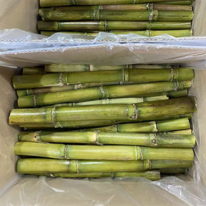 99 GOLD DATA Canne à sucre congelée de haute qualité et au meilleur prix / Jus de canne à sucre du Vietnam - Product Image 1