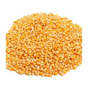 Sığır atları domuzları için gdo olmayan SARI MISIR-yüksek besinler ve <span class=keywords><strong>Protein</strong></span> hayvan yemi - Product Image 1