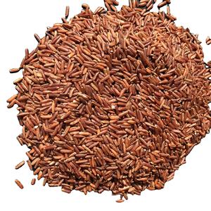 Riz brun naturel en vrac, grains entiers, fournisseur en gros d'exportation, directement de l'usine pour les détaillants et les importateurs internationaux - Product Image 1