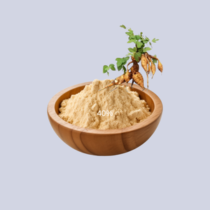 Fornecimento Natural Pueraria Lobata Extrato Em Pó <span class=keywords><strong>Puerarin</strong></span> 10% <span class=keywords><strong>40%</strong></span> 98% Extrato De Raiz De Kudzu Em Pó - Product Image 2