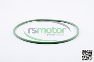 Nuevo Original OEM O-Seal MWM - Product Image 3