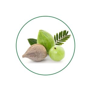 Polvo de extracto de Triphala de alta calidad 40%, suministro a granel para la industria de alimentos y bebidas, el mejor precio de fábrica al por mayor - Product Image 3