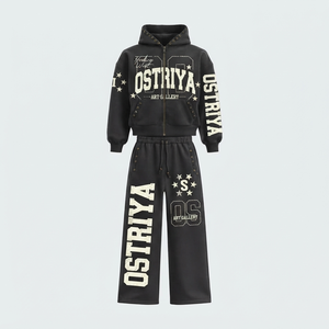<b>Top</b> Manufacturer High Quality Hot Selling Full Sleeves Hooded <b>Zipper</b> Front Letter Casual Wear Quick Dry Men's Fashion Tracksuit - Product Image 2