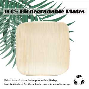 จานอาหารใบปาล์ม Areca ทรงสี่เหลี่ยม7นิ้วหรูหราเครื่องใช้บนโต๊ะอาหารแบบใช้แล้วทิ้งเป็นมิตรกับสิ่งแวดล้อม - Product Image 3