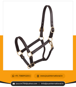 Licou en cuir de haute qualité de 3/4 pouces, doux et à prix raisonnable. Smart Bridle Style avec Sier L pour Show Hackers - Product Image 6