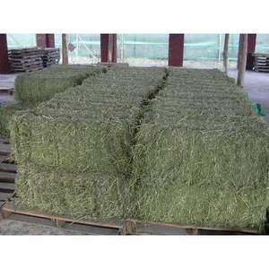 Heno de Alfalfa al por Mayor para Alimentación de Caballos y Ganado, Grado A, 25 kg/bolsa - Product Image 1