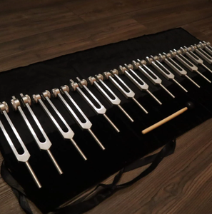 Ensemble de diapasons de guérison Mars Manufacture 15 pièces pour l'organisme humain et les cellules. - Product Image 5