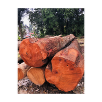 Bois de teck, bois d'acajou, grumes de chêne