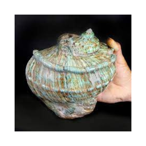 Venta caliente de alta calidad pulido verde Turbo Shell Turbo Pearl Shell artesanía de Vietnam - Product Image 1