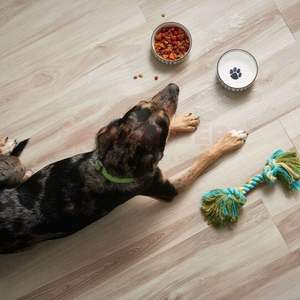 ขายดี22mil 6มม. 7มม. 8มม. กันน้ำกันลื่นทนทานพื้นไม้ลามิเนต WPC SPC - Product Image 2