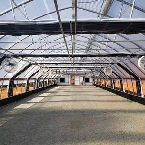 Small Size Single Span Film GreenhouseBlackout Light Deprivation GreenhouseGreenhouse For Grow Mushroom - Product Image 4