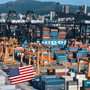 Agente de Carga Marítima Económico a EE. UU. por Cosco, Envío Puerta a Puerta con Servicio de Etiquetado FBA, Dropshipping - Product Image 1