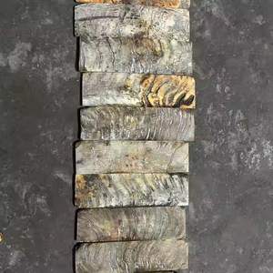 100% Natural Premium Crafts Meilleure échelle de corne de bélier directement polie par l'artisanat en croissant - Product Image 2