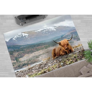 Tapis Vache des Highlands, Tapis de Ferme, Tapis Tendance, Tapis Animalier, Tapis Classique, Tapis Doux à Poils Longs - Product Image 4