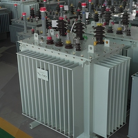 Transformateur immergé dans l'huile S22 à faible perte, neutre en carbone, 10 kV/0,4 kV, en cuivre pur, sur mesure pour projet de stockage d'énergie photovoltaïque
