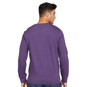 Wholesale Custom Designed Men's Quality Knitted Eco-Friendly Hoodie Crew <b>Neck</b> Pullover Sweatshirt Logo Printing Plus Size Option - Product Image 5