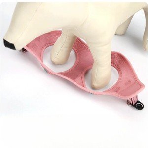 Breathable Nylon Dog Harness Small Size Buckle Closure Simple Style for Dogs - Product Image 3