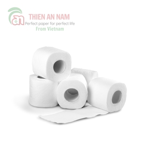 Fournisseur direct OEM Pâte de bois vierge personnalisée au Vietnam Rouleaux de papier toilette 2 plis économiques Rouleau standard de 160g biodégradable - Product Image 1