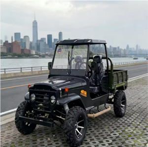 Vente d'usine - Willys 2 places - Mini Jeep Buggy - Classique - Touristique - Personnalisé - Product Image 1
