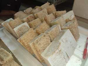 Jabón de hierba de limón orgánico al mejor precio, polvo de extracto de hierba de limón, grado de exportación de Vietnam ANGLE - Product Image 4