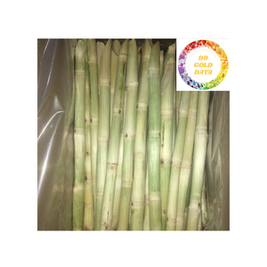 แท่งอ้อยแช่แข็งจากเวียดนามสำหรับใช้คั้นน้ำและเครื่องดื่ม - Product Image 3