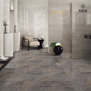 ค้นหาผู้ผลิตกระเบื้องพอร์ซเลนขนาด600x600มม. ชั้นนำในอินเดียที่นำเสนอดีไซน์ระดับพรีเมียมสำหรับทุกโครงการ - Product Image 1