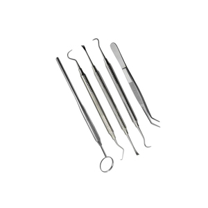 Juego de Instrumentos dentales manuales de acero inoxidable, Kit profesional duradero, escalador de sonda de espejo explorador, certificado CE, grado A + - Product Image 2