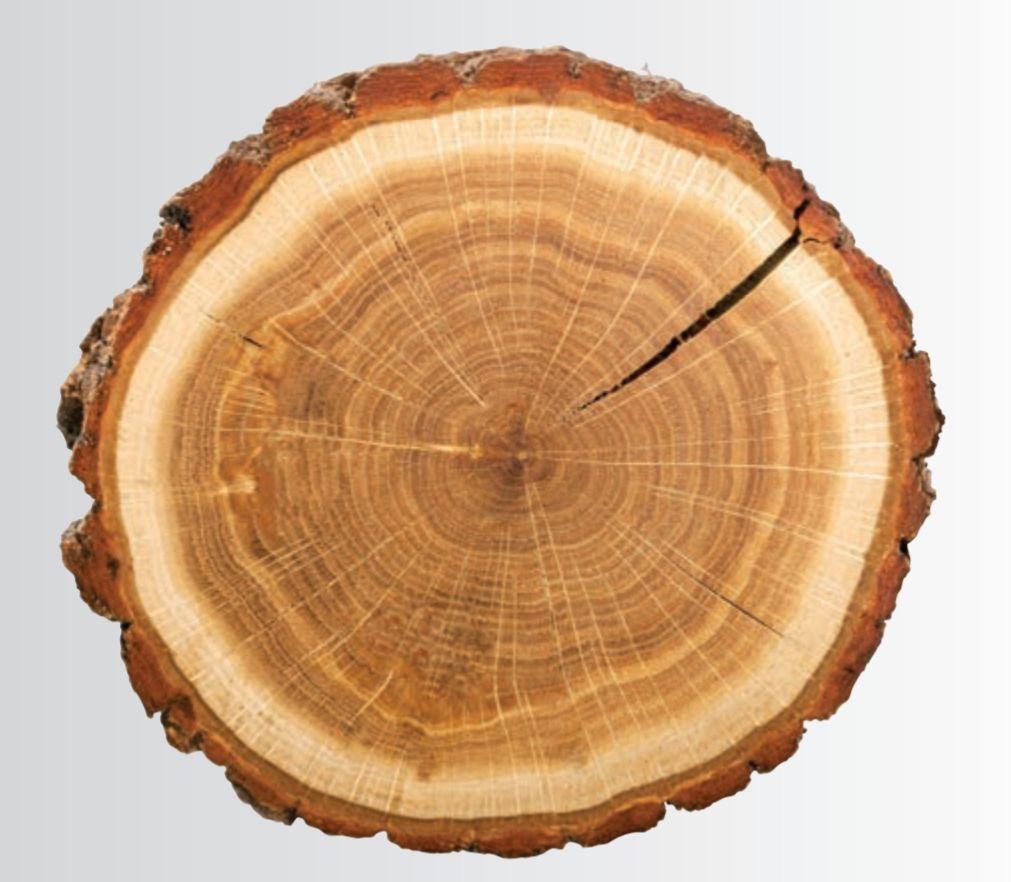 ธรรมชาติ