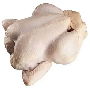 Controllo della qualità del cibo di pollo