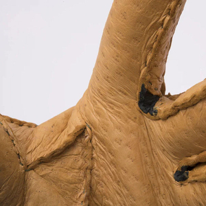 Guantes de Cuero Lisos Color Bronceado, Diseño Nuevo, Color Personalizado, Cálidos, Elegantes, Transpirables y Ecológicos para Invierno - Product Image 2